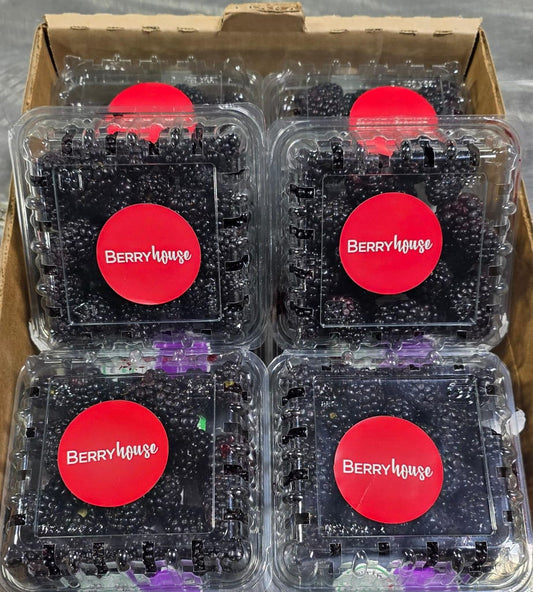 BLACKBERRY (72 oz / 2.04 kg)