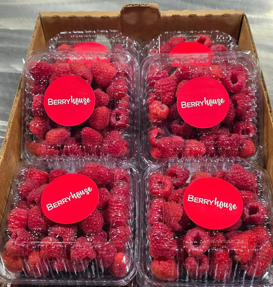 RASPBERRY (72 oz / 2.04 kg)