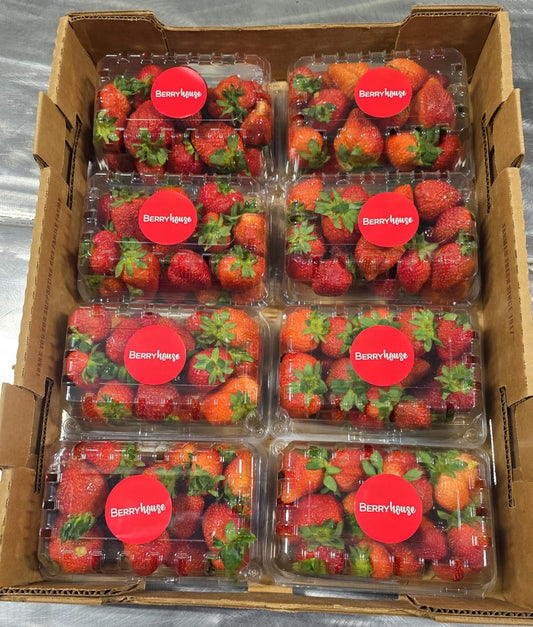 STRAWBERRY (32 oz / 908g)