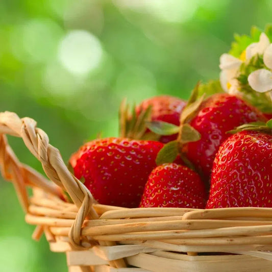 STRAWBERRY (32 oz / 908g)