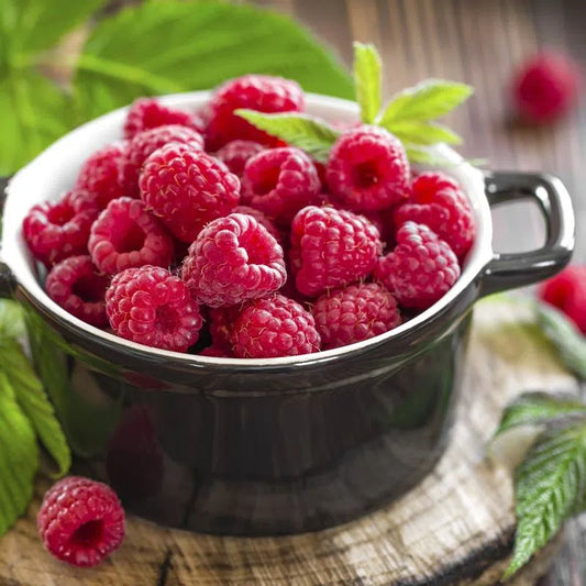 RASPBERRY (72 oz / 2.04 kg)
