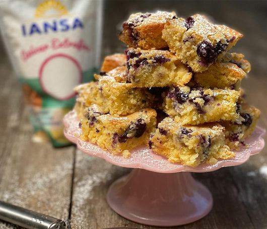 COCONUT AND BLUEBERRY BLONDIES